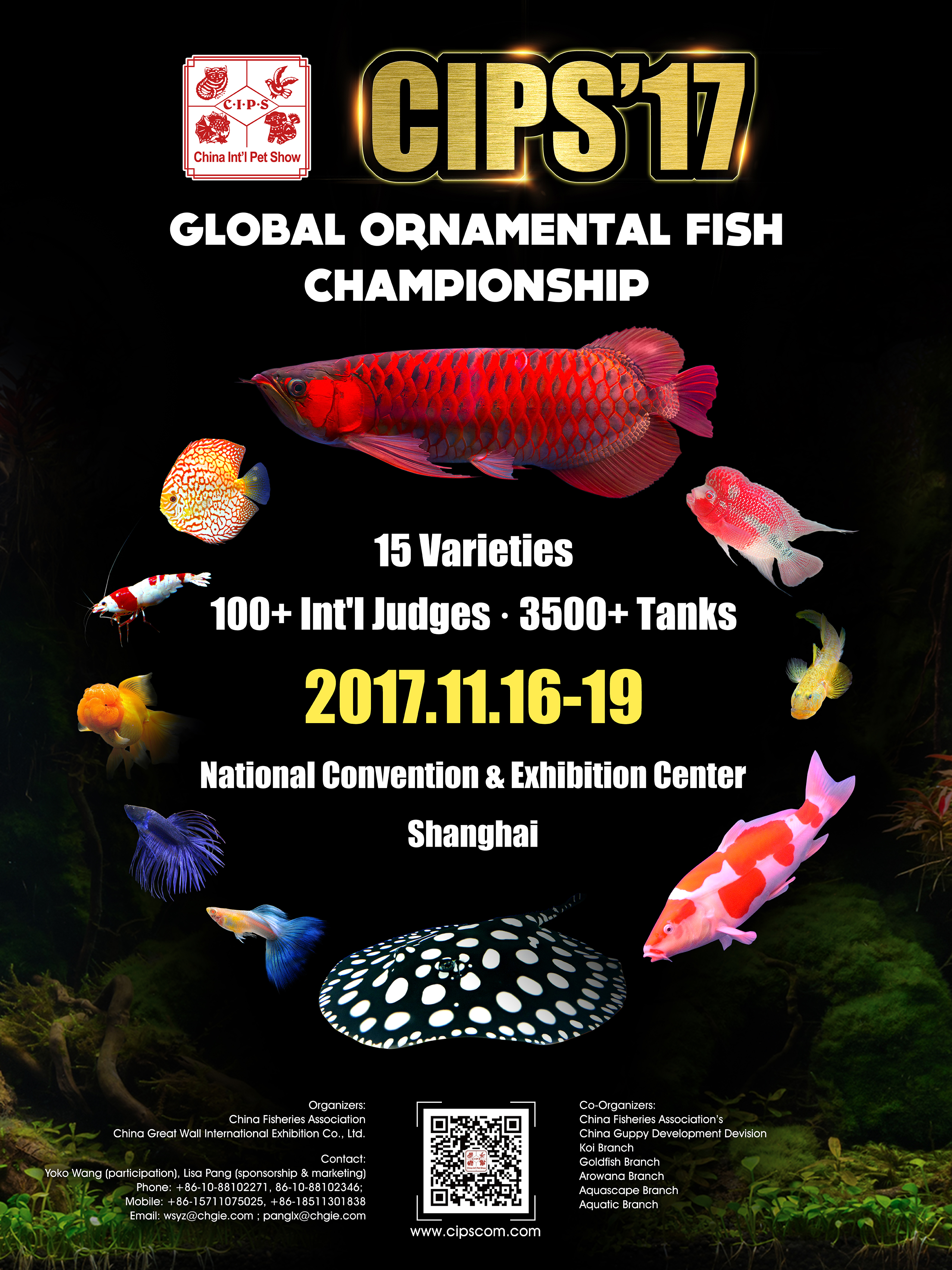 2017年"长城杯"世界观赏鱼锦标赛再攀新高